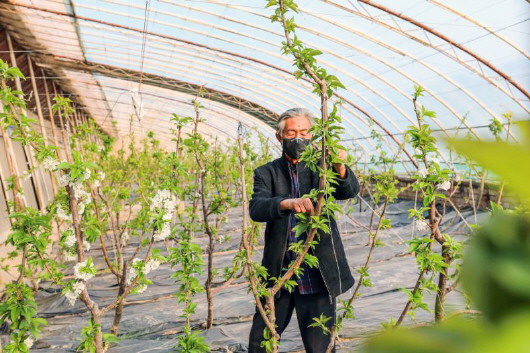 銅城復(fù)蘇：春光明媚，邀你共賞芳華（組圖）