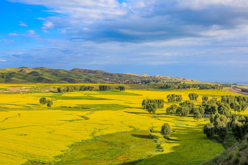創(chuàng)意海報(bào)丨甘肅的美，你來了才知道
