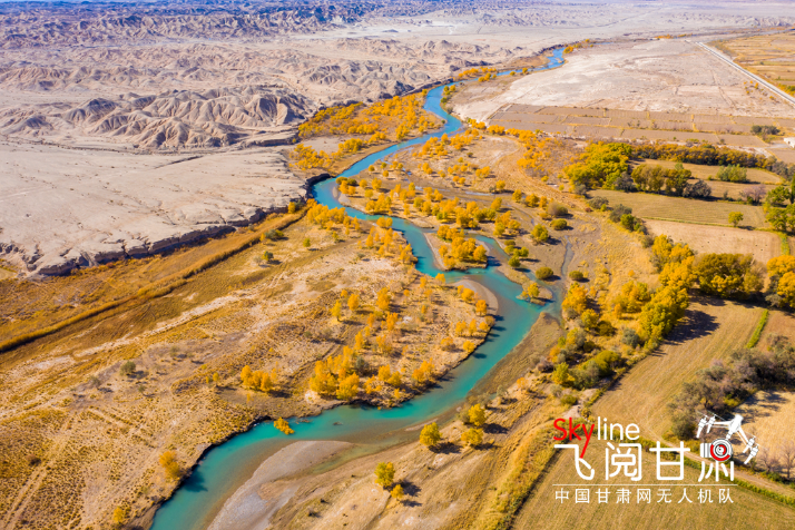 【飛閱甘肅】好美！疏勒河畔大地斑斕
