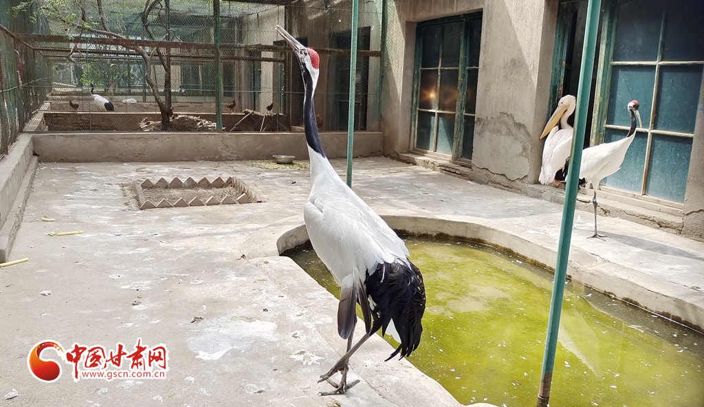 蘭州公安提醒市民：非緊急非必要，不出境