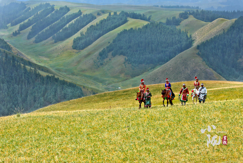 【小隴畫報(bào)·144期】張掖肅南:民族風(fēng)從草原來