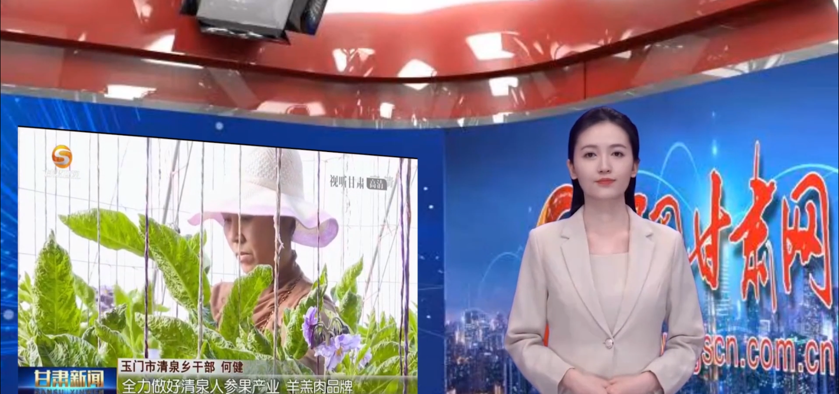 【AI小隴說·黨的二十大精神在基層】示范建設(shè)為引領(lǐng)，美麗鄉(xiāng)村畫中來