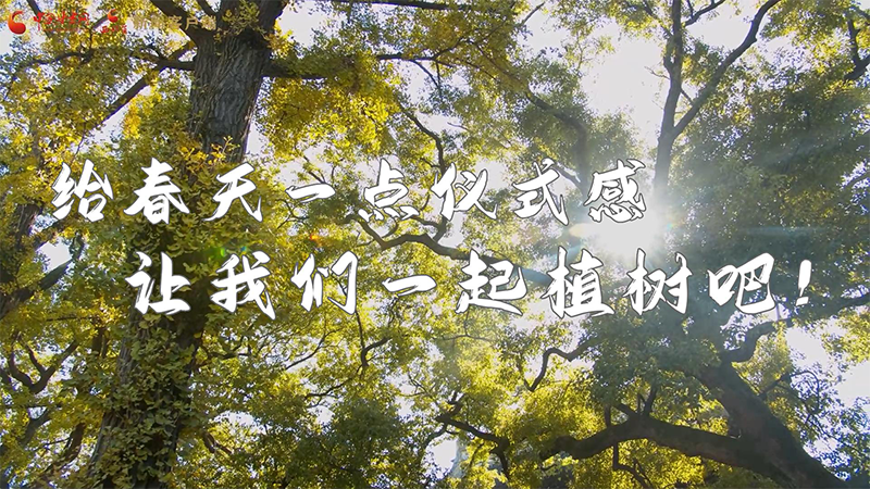 短視頻|給春天一點(diǎn)儀式感，讓我們一起植樹吧！
