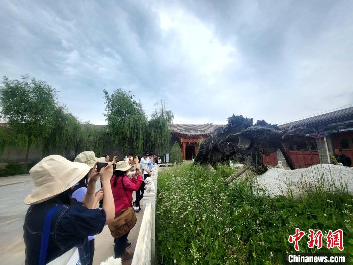 圖為媒體記者在青海永錄民俗參觀采訪?！⊙Φ?攝