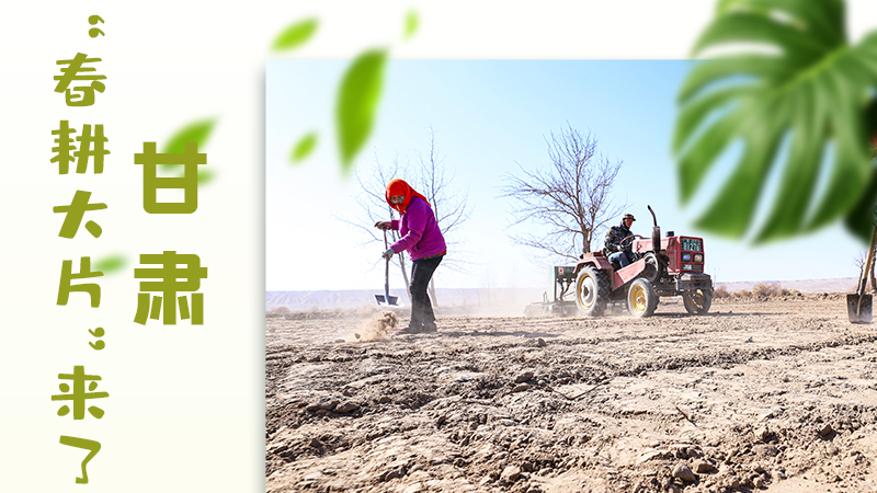 【甘快看】海報|瞧！甘肅“春耕大片”來了