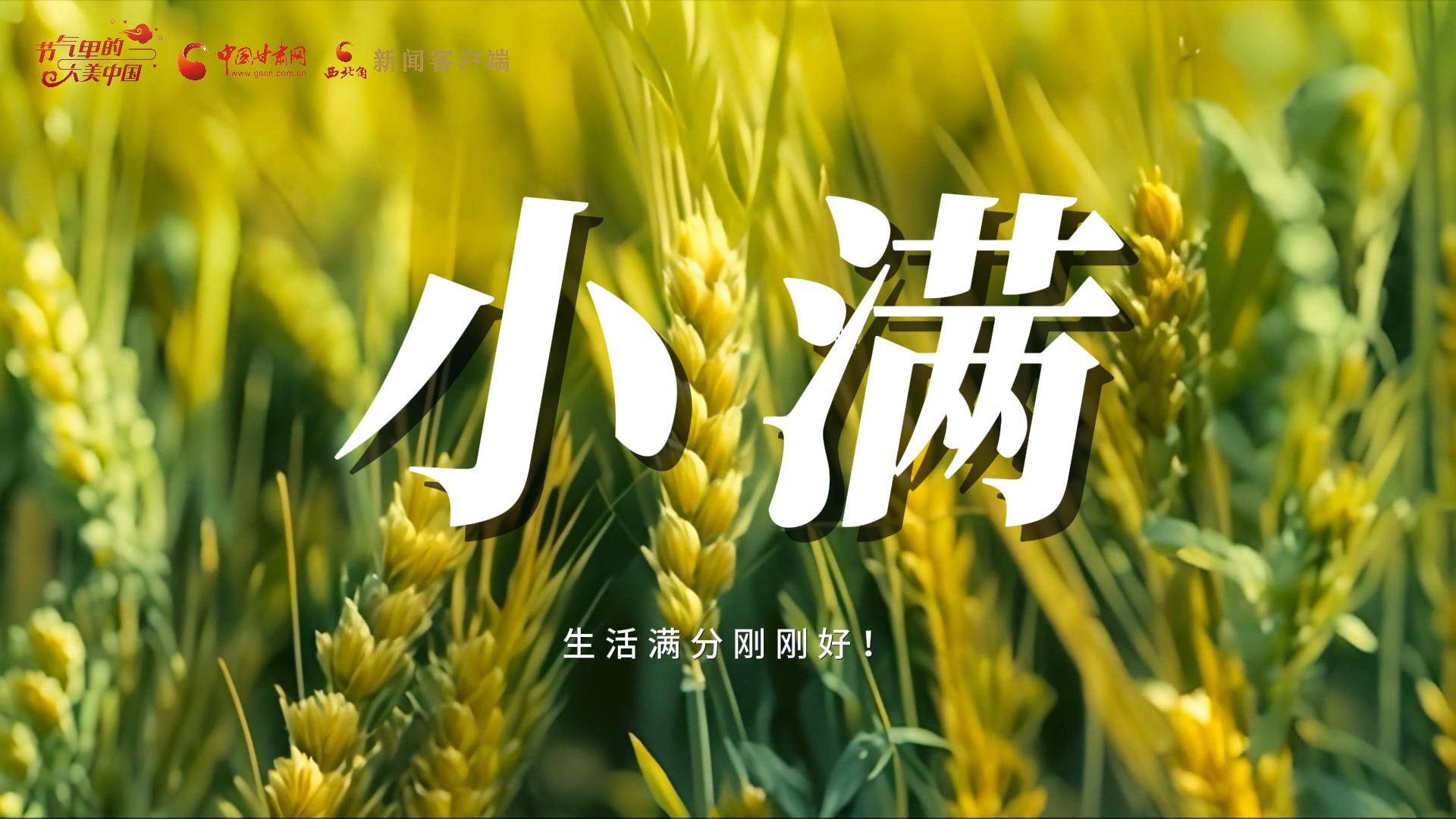 【節(jié)氣里的大美甘肅·小滿】生活滿分剛剛好！