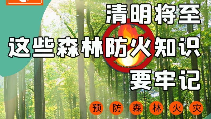 【甘快看】圖解|緊繃“安全弦”！清明，這些森林防火知識要牢記