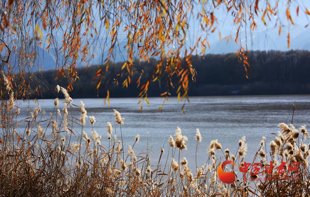 隴原春動(dòng)·隴拍客丨永靖春日 萬(wàn)物有聲
